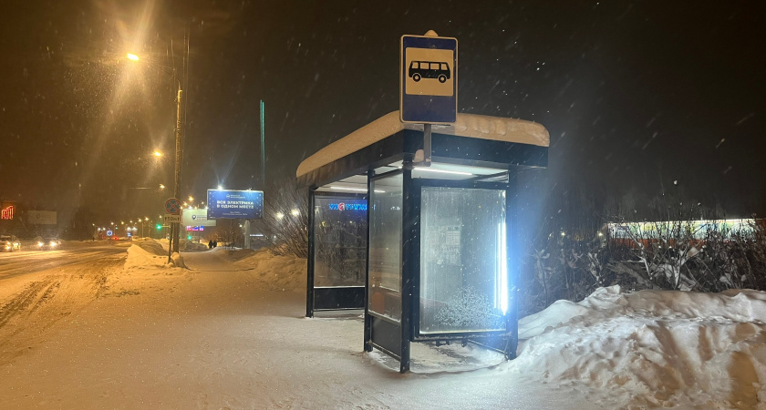 В Коми наказали водителя, который припарковался на автобусной остановке