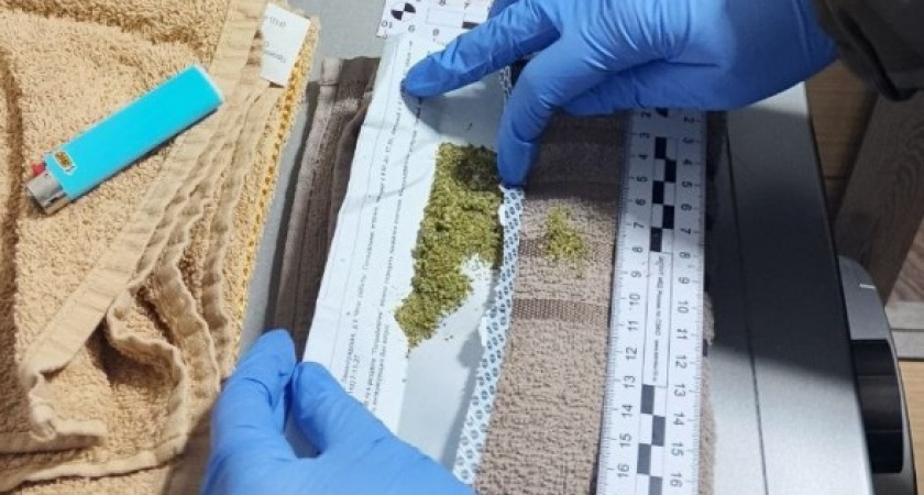 В Коми задержали мужчину с домашней плантацией наркотического растения