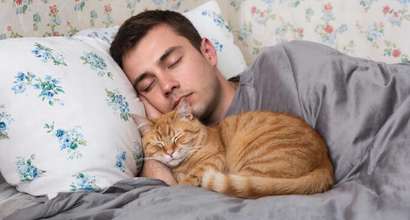 Спать на подушке с одеялом больше не модно: новый тренд идет в Россию