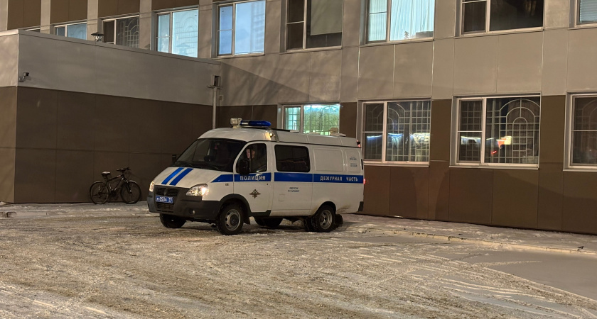 Полиция в Коми выявила интернет-сбытчиков наркотиков 