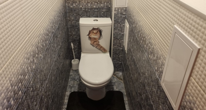 Почему японцы садятся на унитаз лицом вперед: культурный код или секрет конструкции