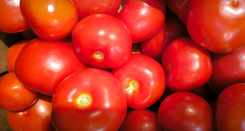 Развожу бутылку уксуса - и собираю небывалый урожай помидоров: 2 средства от вершинной гнили 