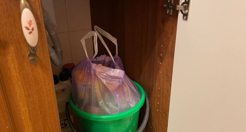 На мешки для мусора больше не трачусь: бесплатный рабочий способ, известный со времен СССР