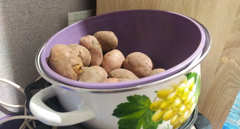 Картошка — королева кухни. 6 простых идей, как приготовить её вкусно - круче чем в ресторане