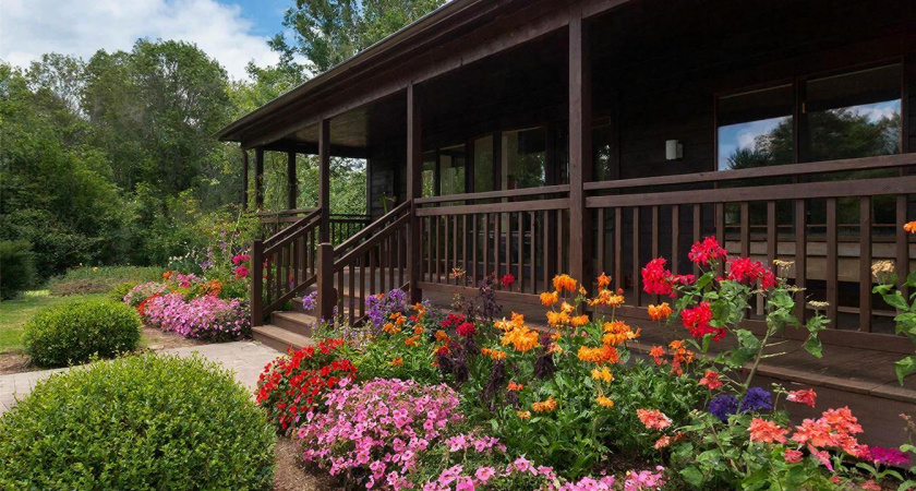 Растут сами по себе – многолетний цветник для самых ленивых: идеальное решение для сада