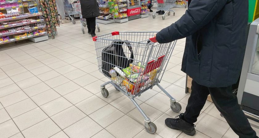 Что купить в магазине, чтобы весь месяц собирать роскошные блюда не дороже 150 рублей за порцию