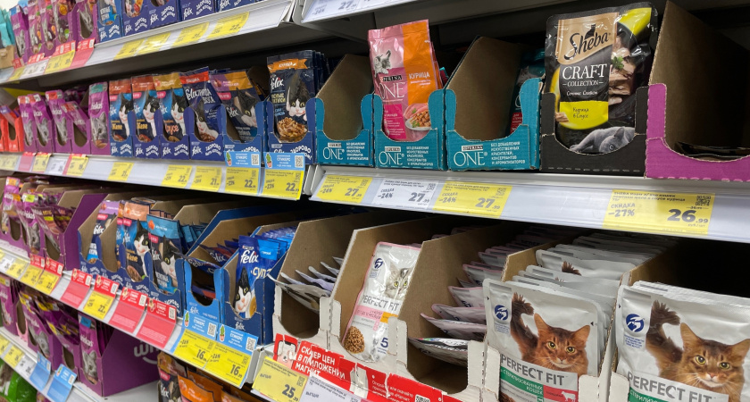 Эксперты Роскачества назвали достойный корм для кошек: не бьет по кошельку — берите сразу по 10 пачек
