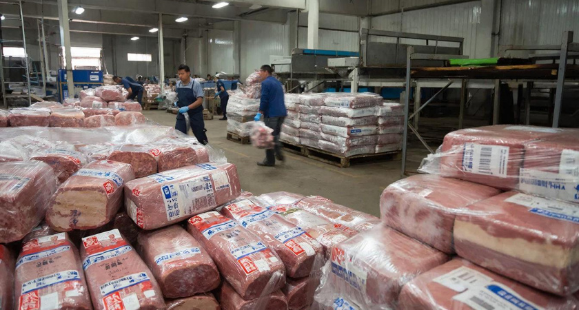 Китайское мясо массово поставляют в Россию, и это не свинина: почему вы не видите его на прилавках магазинов