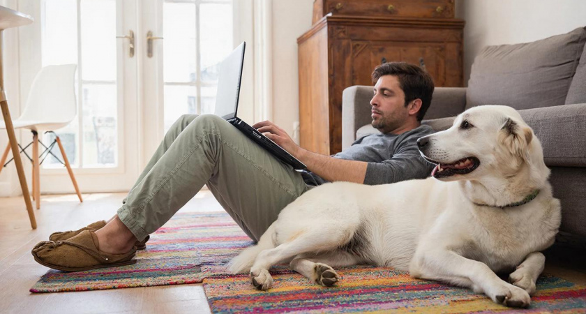 5 пород собак, которые безгранично преданны и обожают своих хозяев