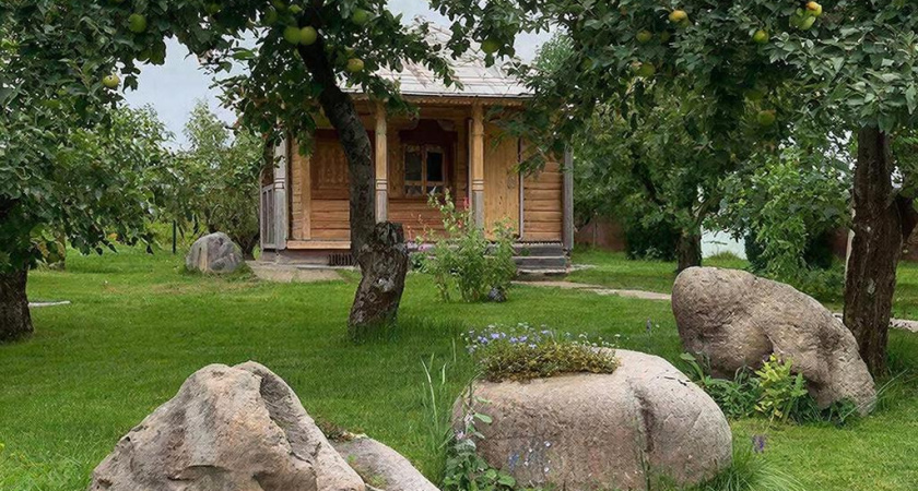 Дизайн, которому завидуют все соседи: рассказываю, как сделать на даче красиво и не "заколхозить" свой сад