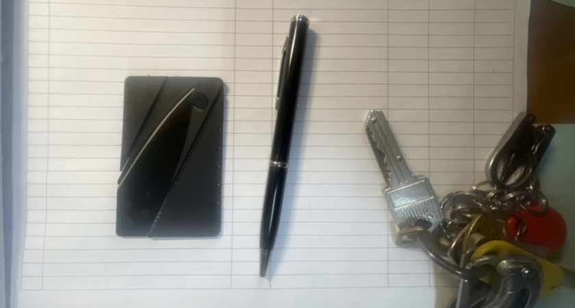 Ручки с клинками и ножи в визитницах: какие необычные вещи изымали приставы у посетителей судов в Коми