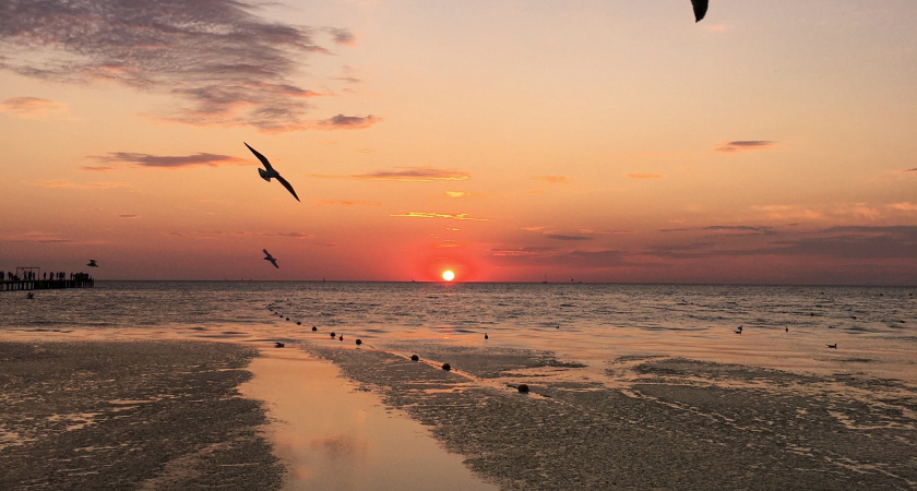 Вот почему нужно успеть в Крым до конца марта: отдых мечты по приятной цене и с хорошей погодой