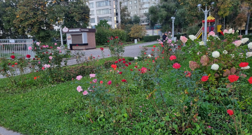 Приехала однажды и влюбилась: один из лучших бюджетных городов в России для туризма - прекрасен круглый год