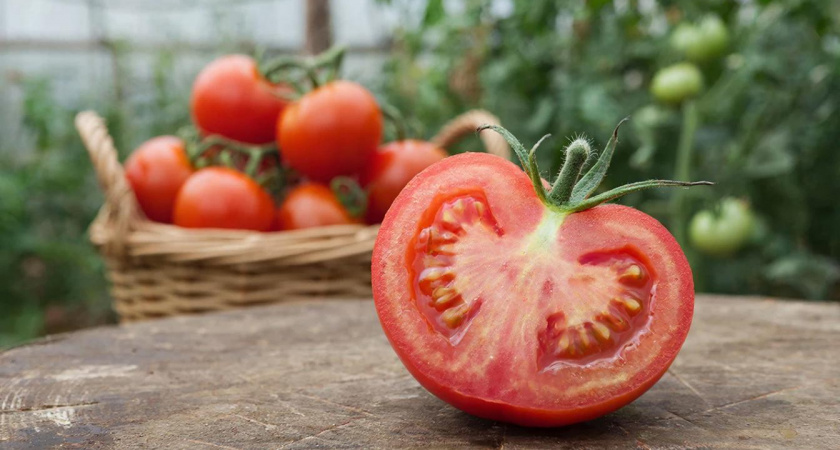 Герой среди томатов: каждый плод по 700 граммов! Даже в холодное лето выдаёт по 9 кг с куста — на вкус как малина с дыней