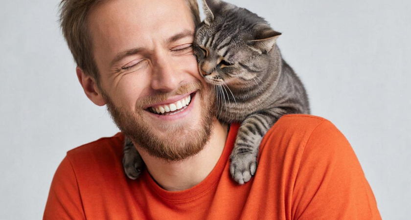 Почему кошка лезет в вам лицо — 7 признаков, что вы для неё больше, чем хозяин