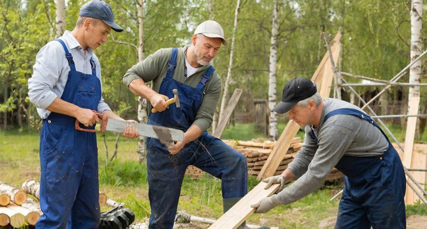 «Вы что, работаете за еду?» Немецкий инженер потерял дар речи, когда увидел, как мы всей деревней бесплатно строим соседу баню