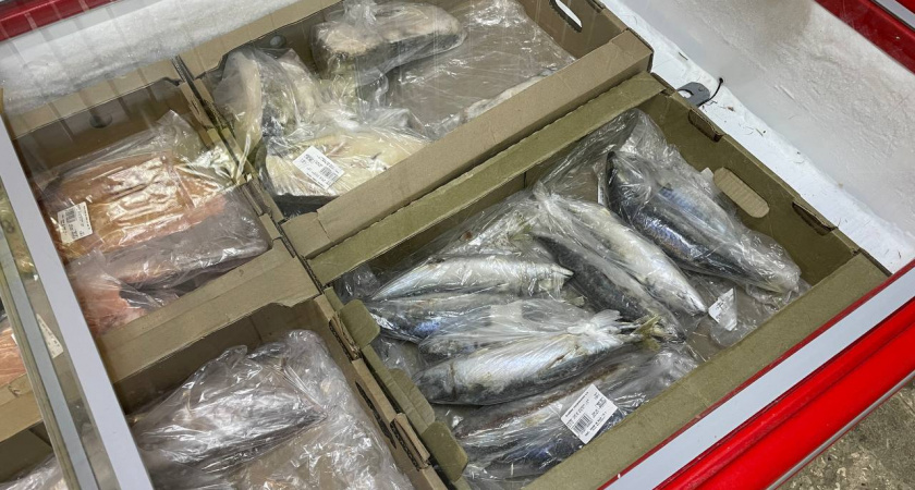 В Светофор завезли австралийский лосось: как только приготовил на ужин, сразу понял - что не так с этим красным "мясом"