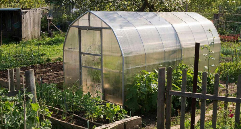 Теплица из карбоната не проживет и трех лет, если допустите эти 3 ошибки всех садоводов – вот как их избежать