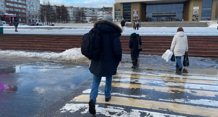 Верховный Суд поставил окончательную точку: нужно ли водителю ждать, пока пешеход до конца перейдет дорогу