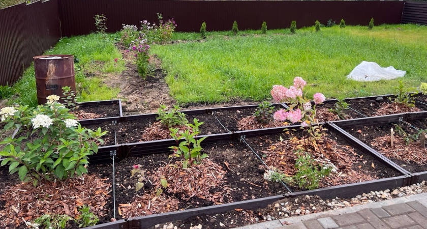 Почему в деревнях резко перестали сажать огороды - вот в чем основная причина