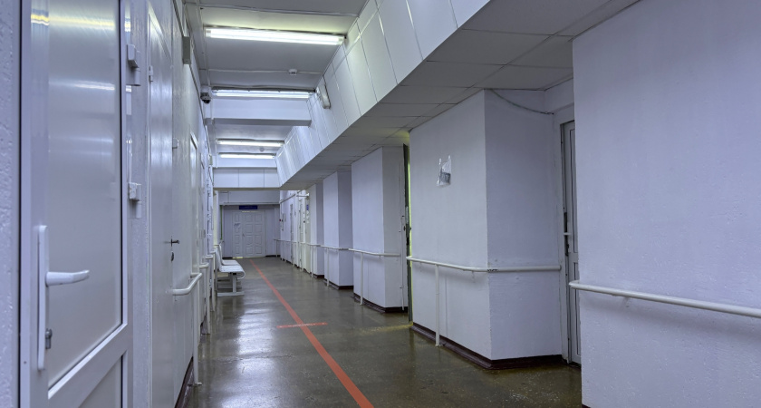 Ученые из Коми разработали прозрачный гидрогель с магнитными частицами для ускоренного заживления ран