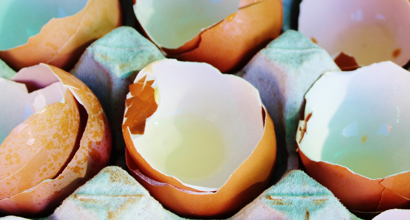 Яйца в салат, скорлупу заморозить и — в дело — Не мусор, а бриллиант: И вот как с ней поступают мудрейшие хозяйки