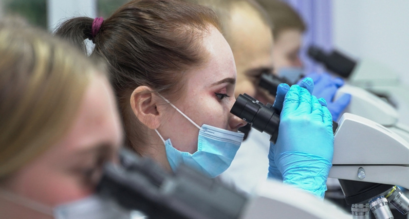 Ученые из Коми разработали нетоксичные противогрибковые препараты нового поколения на основе хвойного сырья