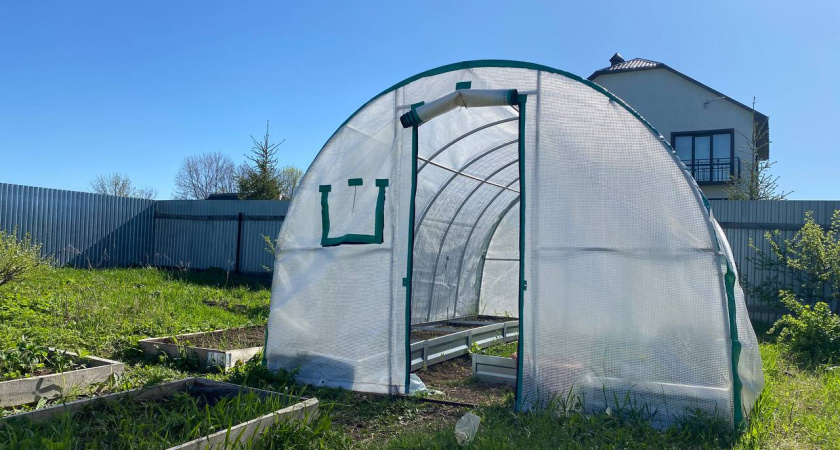 Теплица из поликарбоната - больше не модно: ей нашли более долговечную замену без трещин, пыли и потёков грязи