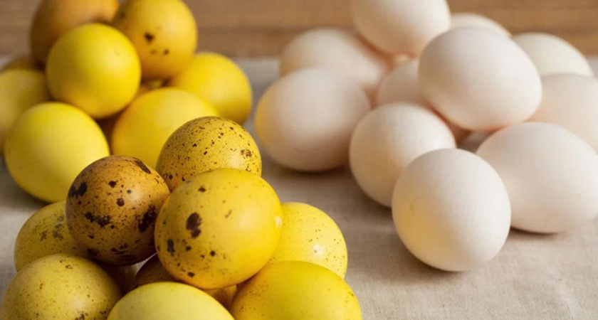 Почему в магазинах не бывает утиных яиц - и с чем связан запрет на их продажу