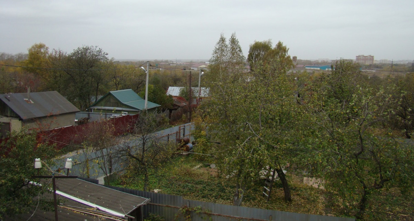 Как защитить сад от проснувшихся вредителей — советует садовод со стажем