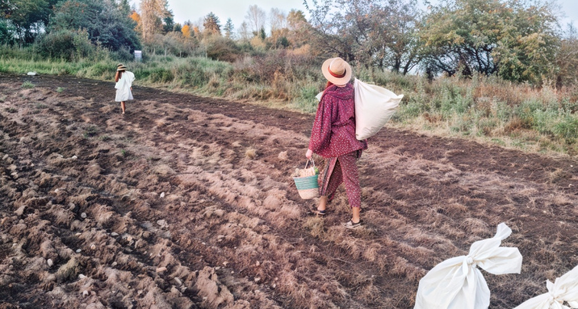 Не клубника и не грибы, а намного дешевле: на чем фермеры зарабатывают миллионы зимой - а рабочие получают по 55 тысяч