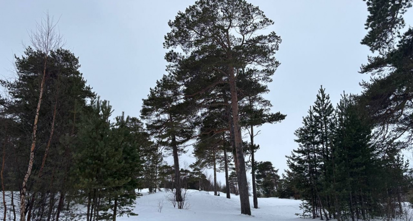 По прогнозу погоды на 8 марта Коми останется во власти мороза