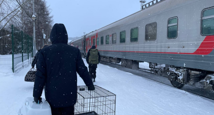 Плацкарт и купе больше не в моде: новый вид вагонов появится в РЖД - как теперь будем ездить