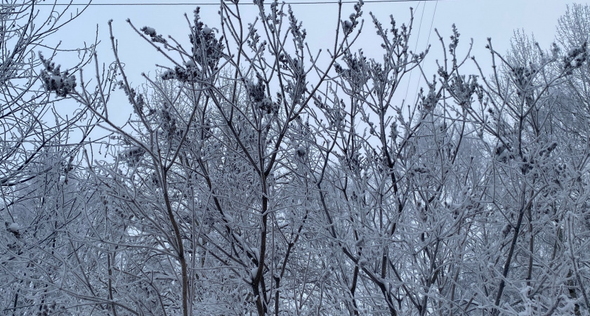 По прогнозу в Коми 9 марта ожидается до -37 ночью и слабый снег днём