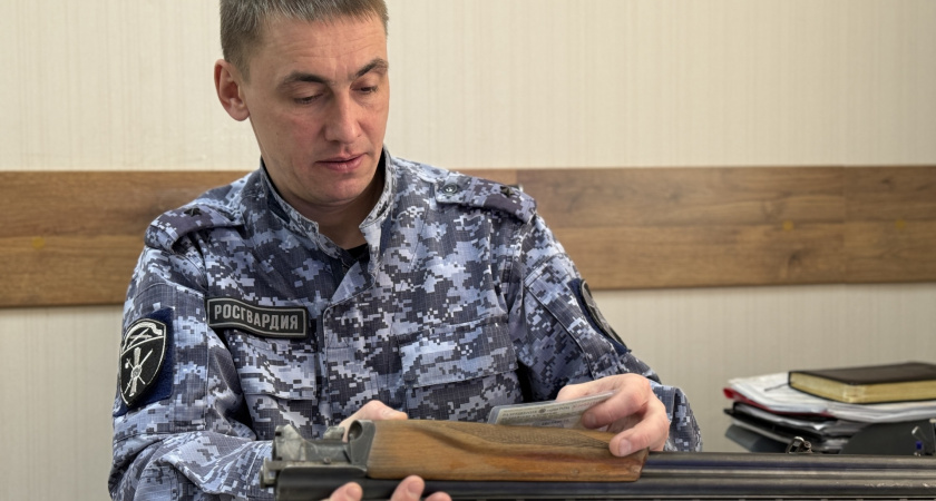 Жители Коми лишились десятков ружей из-за просроченных разрешений 