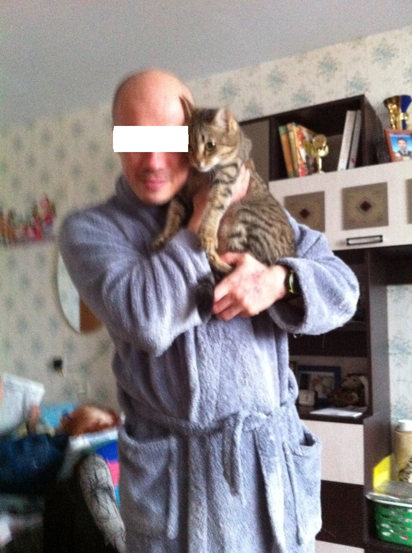 Ухтинец, постиравший кота, выложил новые фото своих питомцев
