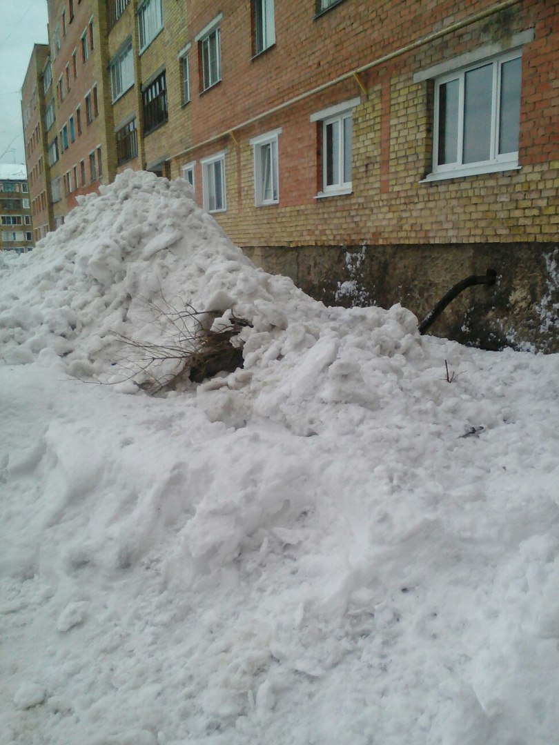 В Сосногорске управляющая компания сгребла снег с крыш на цветник жильцов