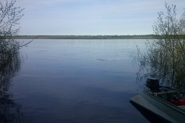 В Коми супружеская пара нашла труп в речке