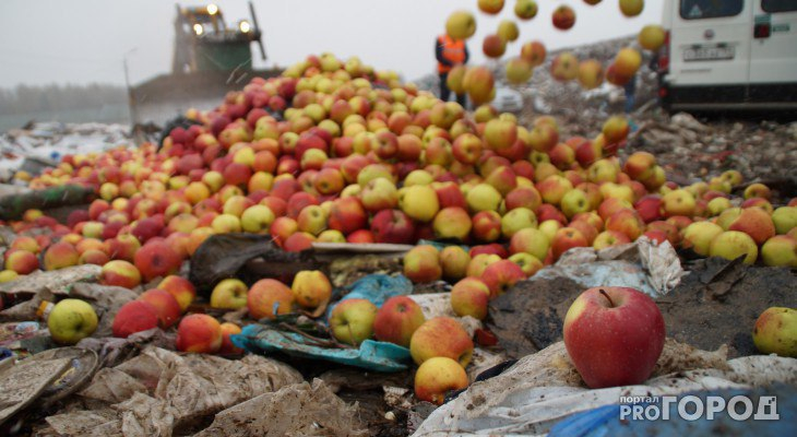 В Коми уничтожили несколько сотен килограммов санкционных фруктов