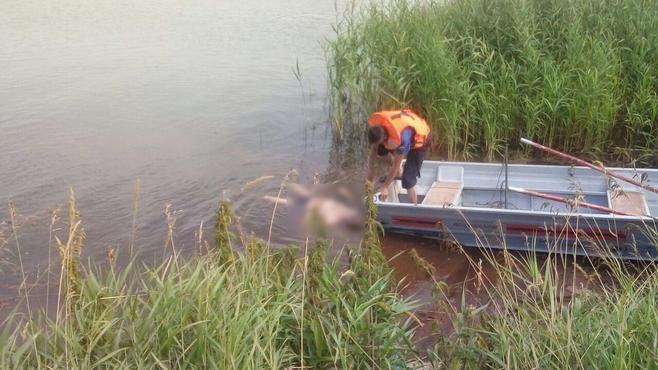 В Коми рыбак выпал из лодки и утонул