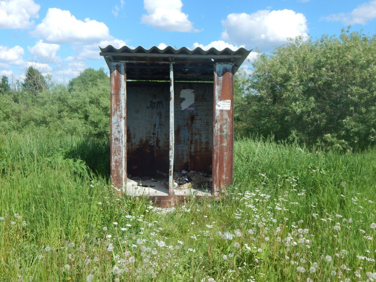 Ухтинцев возмутило отсутствие туалетов на "Велоночи"