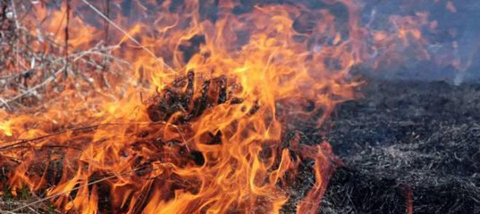 В Ухте объявлена высокая пожароопасность