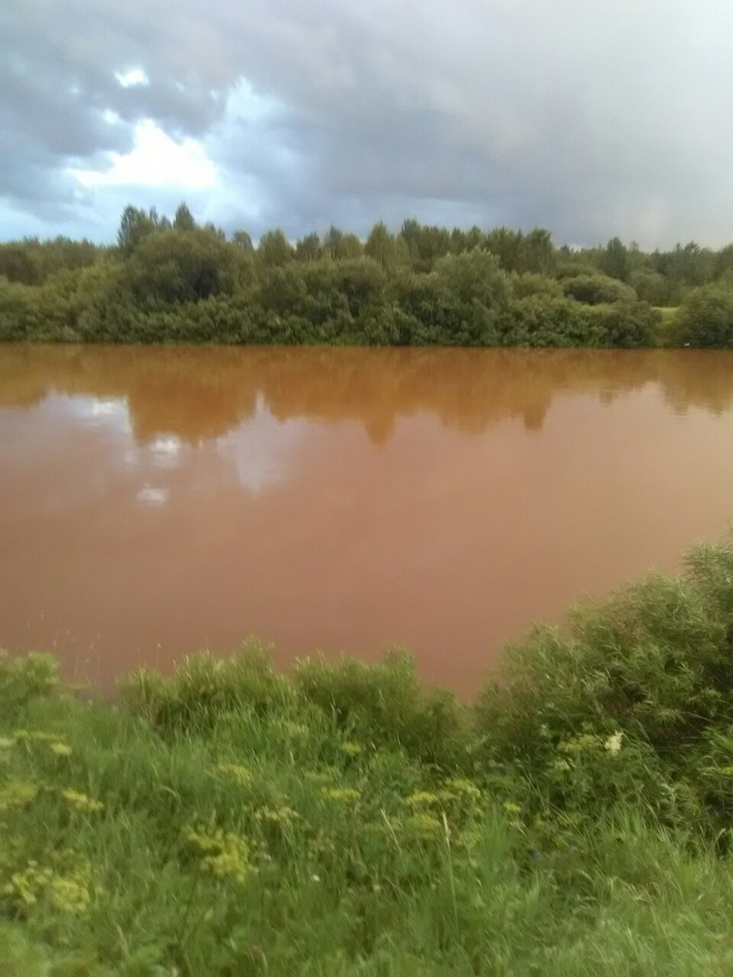 В Ухте река стала отвратительного помойного цвета (фото)