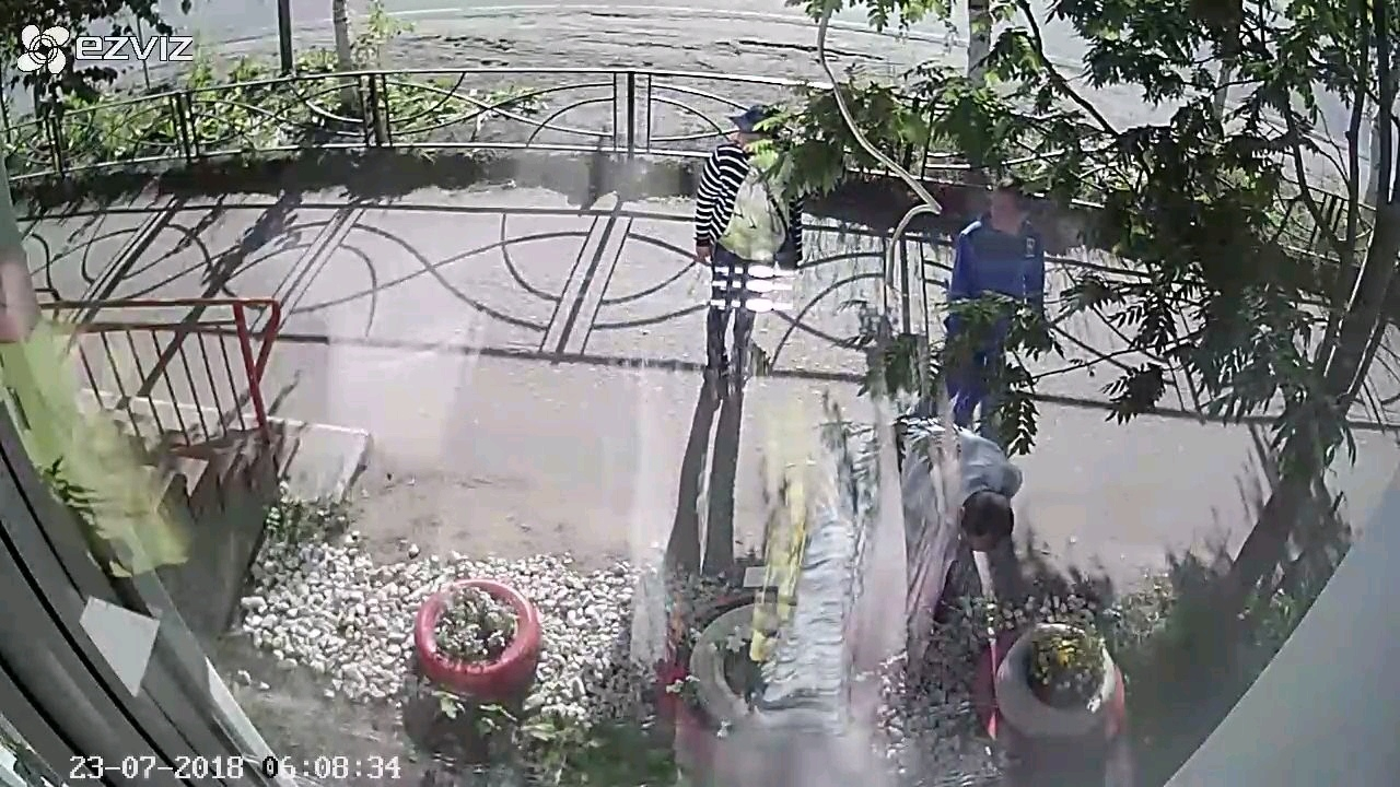 В Коми сняли два видео, как мужчины обрывают городскую клумбу