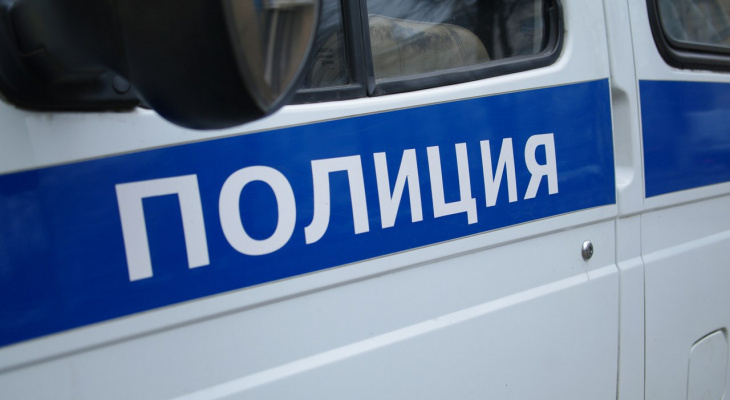11 кустов конопли, оружие и патроны обнаружили полицейские в квартире жителя Коми
