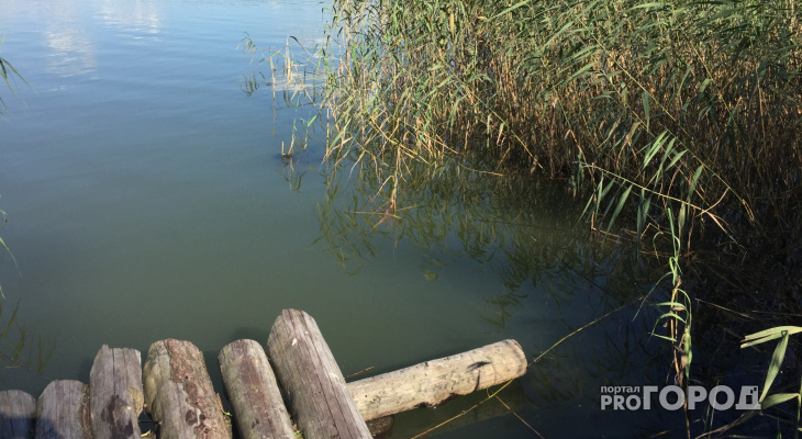 Утонувшую 10-летнюю ухтинку водолазы ищут по всей акватории реки