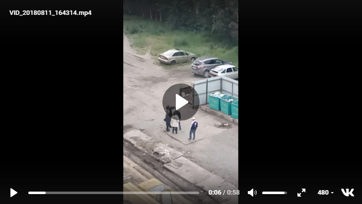 В Коми очевидцы сняли на видео, как пьяные стреляли из оружия вблизи детей