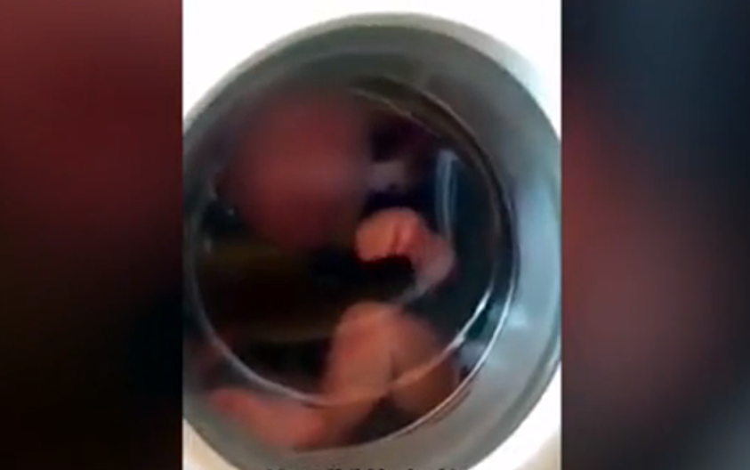 Новости Мира: В Польше рыдающего ребенка засунули в стиральную машину