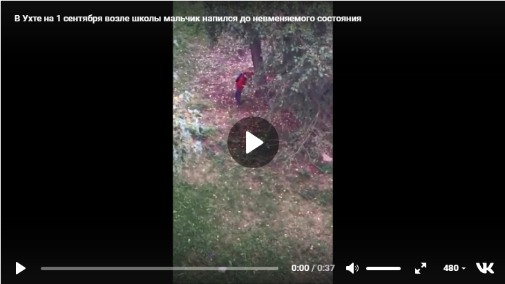 В Ухте на 1 сентября возле школы мальчик напился до невменяемого состояния (видео)