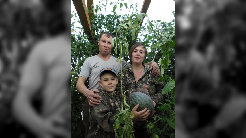 "Ничего невозможного нет!": жительница Коми вырастила арбузы (фото)